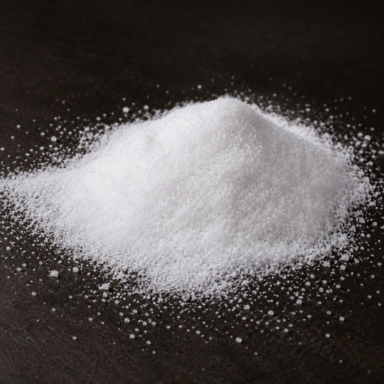 PDV Salt for Animal Feed